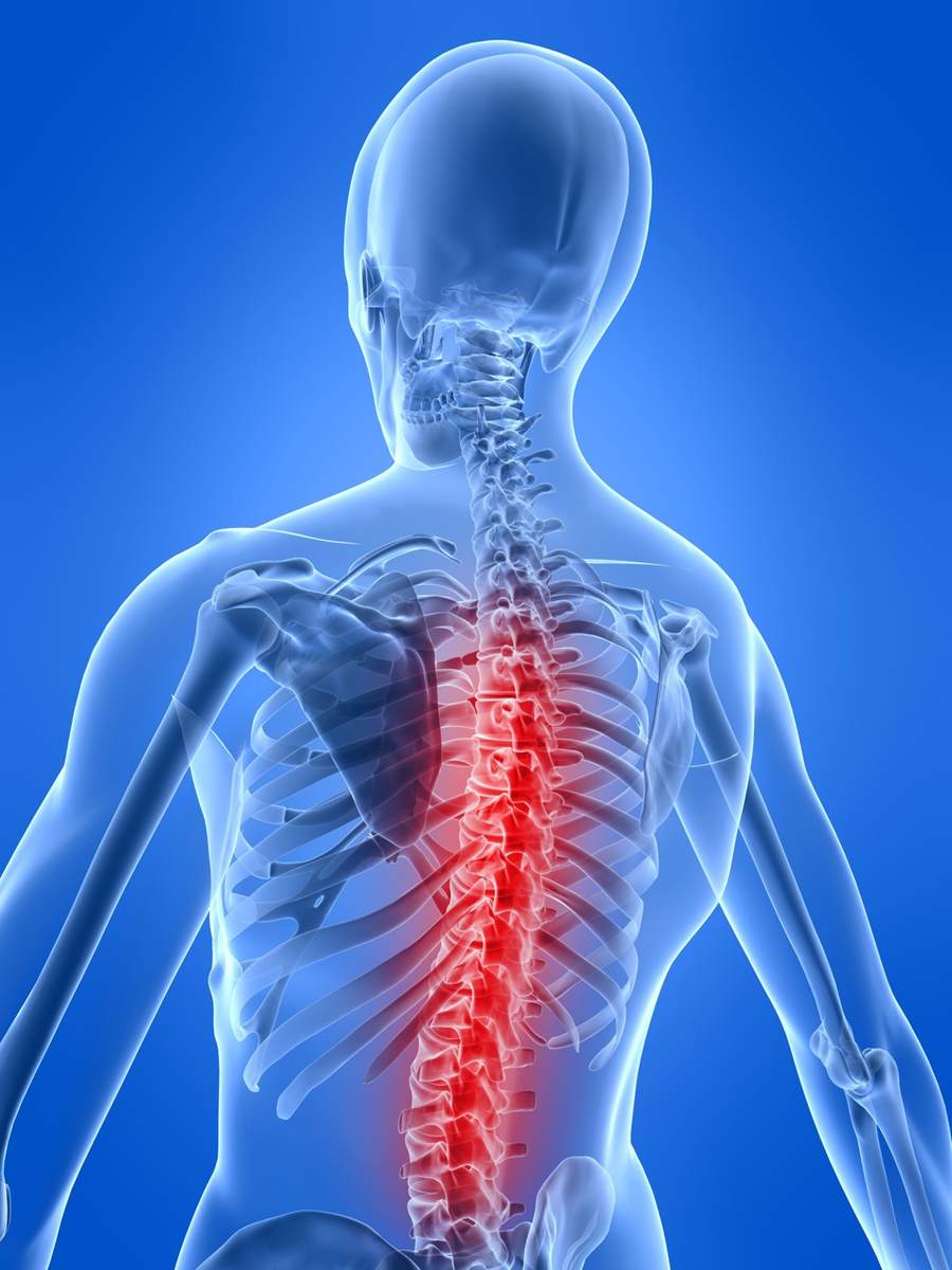 spine_1
